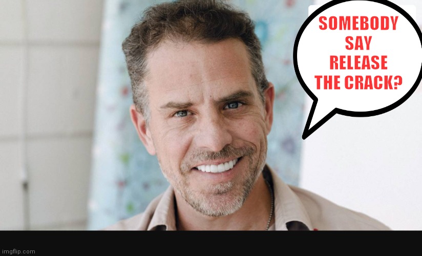 Hunter Biden | SOMEBODY SAY RELEASE THE CRACK? | image tagged in hunter biden | made w/ Imgflip meme maker