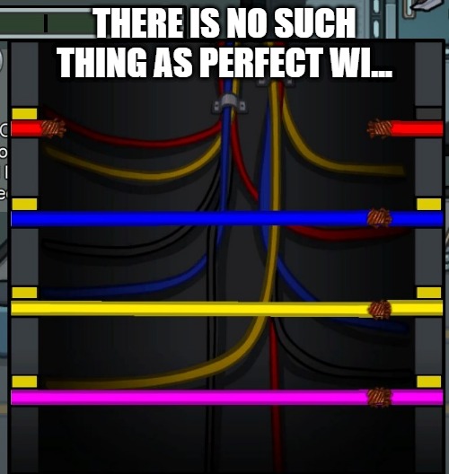 Electrical Fun | THERE IS NO SUCH THING AS PERFECT WI... | image tagged in fun,among us,gaming | made w/ Imgflip meme maker