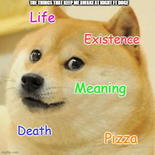 What keeps me awake at night |  THE THINGS THAT KEEP ME AWAKE AT NIGHT FT DOGE; Life; Existence; Meaning; Death; Pizza | image tagged in memes,doge,anxiety,awake | made w/ Imgflip meme maker