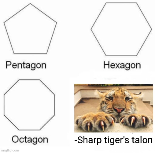 -Wild compulsive middle. | -Sharp tiger's talon | image tagged in memes,pentagon hexagon octagon,forest path,funny cats,predator,sharp | made w/ Imgflip meme maker