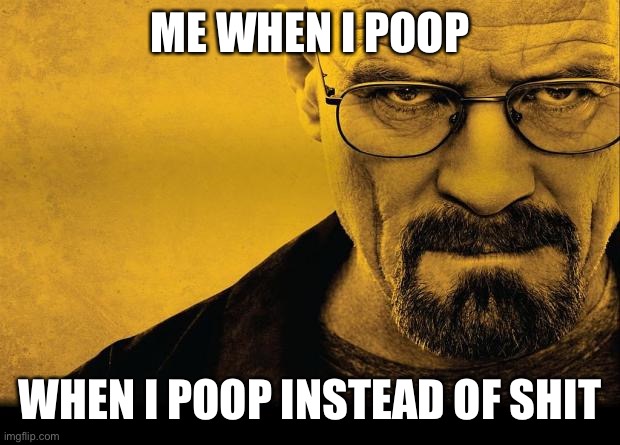 True | ME WHEN I POOP; WHEN I POOP INSTEAD OF SHIT | image tagged in breaking bad,funny | made w/ Imgflip meme maker