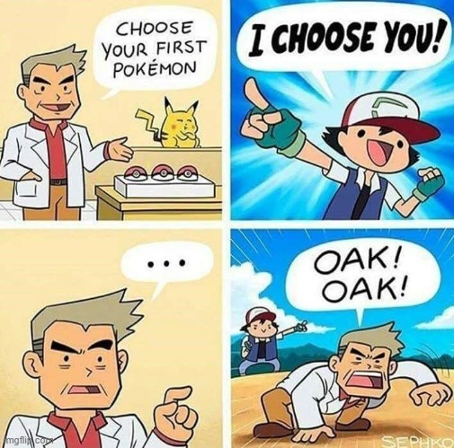i choose you, prof oak | image tagged in pokemon,funny pokemon,funny memes | made w/ Imgflip meme maker