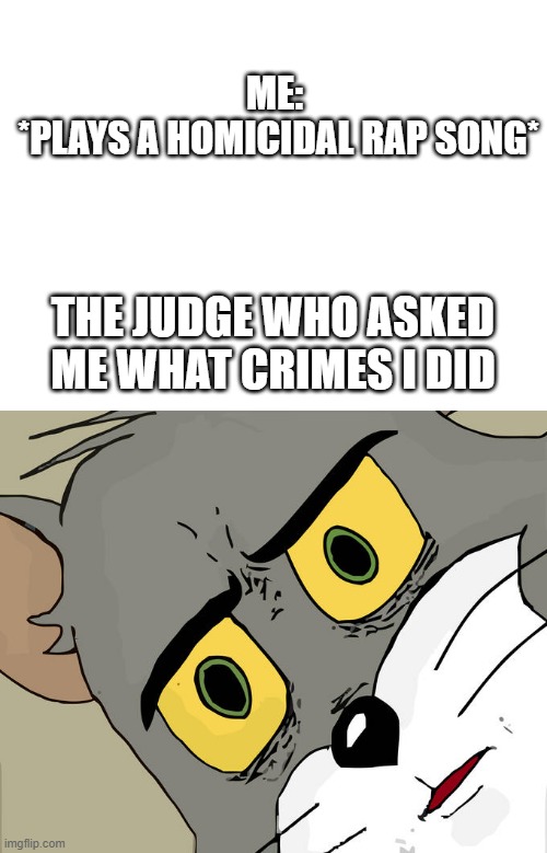 A good meme | ME:
 *PLAYS A HOMICIDAL RAP SONG*; THE JUDGE WHO ASKED ME WHAT CRIMES I DID | image tagged in blank white template,unsettled tom | made w/ Imgflip meme maker