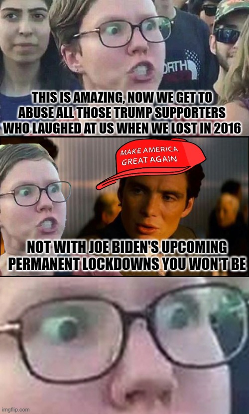 Inception Liberal | THIS IS AMAZING, NOW WE GET TO ABUSE ALL THOSE TRUMP SUPPORTERS WHO LAUGHED AT US WHEN WE LOST IN 2016; NOT WITH JOE BIDEN'S UPCOMING PERMANENT LOCKDOWNS YOU WON'T BE | image tagged in inception liberal | made w/ Imgflip meme maker