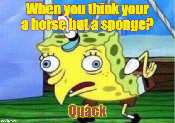 Mocking Spongebob | When you think your a horse but a sponge? Quack | image tagged in memes,mocking spongebob | made w/ Imgflip meme maker