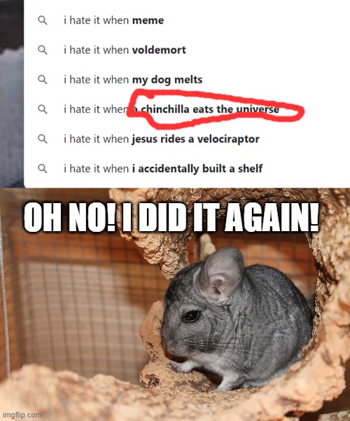 Completely Random | OH NO! I DID IT AGAIN! | image tagged in chinchilla | made w/ Imgflip meme maker