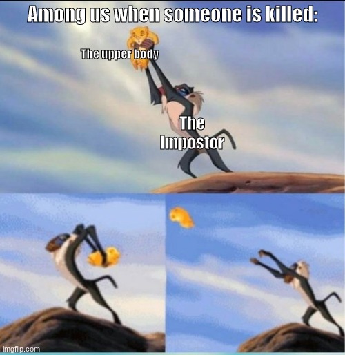 Am I right? | Among us when someone is killed:; The upper body; The Impostor | image tagged in lion being yeeted,am i right,among us bodies,make no sanse,now that i look i gotta,yeet da body | made w/ Imgflip meme maker
