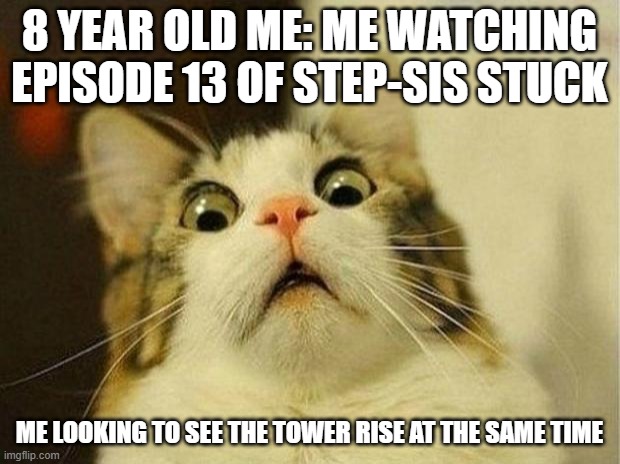 Scared Cat | 8 YEAR OLD ME: ME WATCHING EPISODE 13 OF STEP-SIS STUCK; ME LOOKING TO SEE THE TOWER RISE AT THE SAME TIME | image tagged in memes,scared cat,funny,meme,lol | made w/ Imgflip meme maker