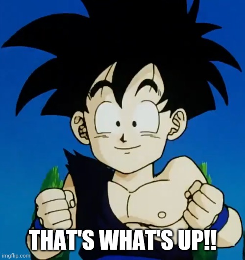 Amused Gohan (DBZ) | THAT'S WHAT'S UP!! | image tagged in amused gohan dbz | made w/ Imgflip meme maker