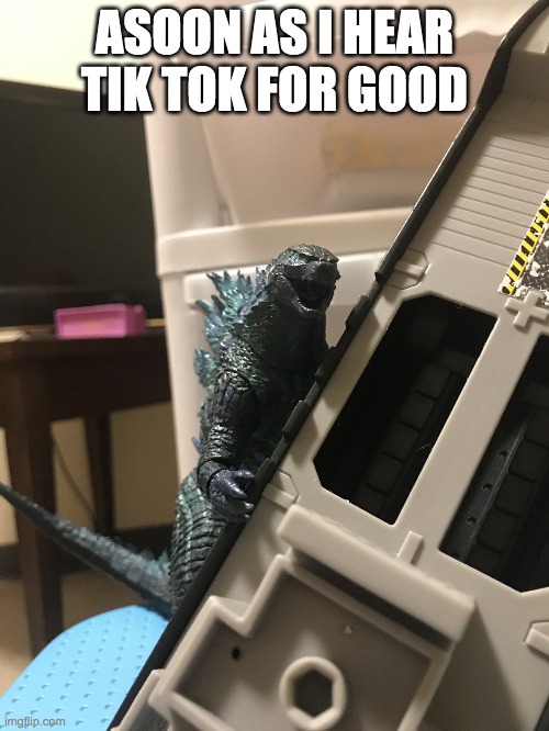 Godzilla has heard what he needs to hear | ASOON AS I HEAR TIK TOK FOR GOOD | image tagged in godzilla has heard what he needs to hear | made w/ Imgflip meme maker