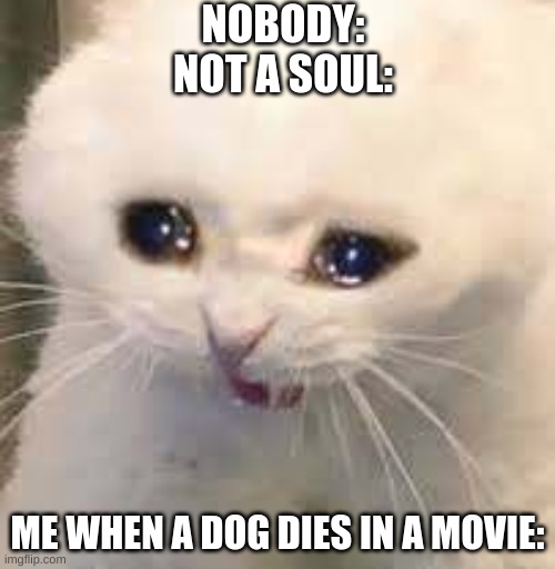NOBODY:
NOT A SOUL:; ME WHEN A DOG DIES IN A MOVIE: | made w/ Imgflip meme maker