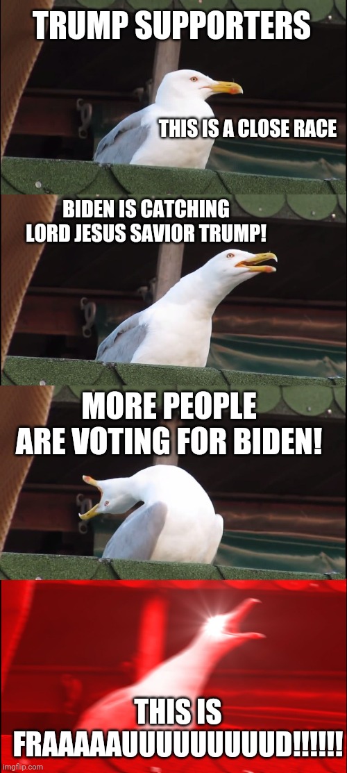 Inhaling Seagull | TRUMP SUPPORTERS; THIS IS A CLOSE RACE; BIDEN IS CATCHING LORD JESUS SAVIOR TRUMP! MORE PEOPLE ARE VOTING FOR BIDEN! THIS IS FRAAAAAUUUUUUUUUD!!!!!! | image tagged in memes,joe biden,trump,sore loser,voter fraud,dead voters | made w/ Imgflip meme maker