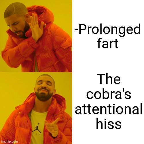 -Instead of bad keeping. | -Prolonged fart; The cobra's attentional hiss | image tagged in memes,drake hotline bling,hold fart,cobra kai,singing,toilet humor | made w/ Imgflip meme maker
