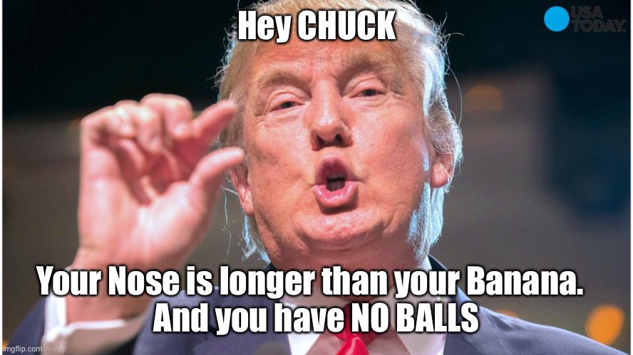 Donald Trump small brain | Hey CHUCK; Your Nose is longer than your Banana.  
And you have NO BALLS | image tagged in donald trump small brain | made w/ Imgflip meme maker
