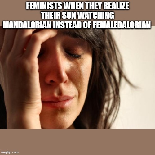 First World Problems Meme | FEMINISTS WHEN THEY REALIZE THEIR SON WATCHING MANDALORIAN INSTEAD OF FEMALEDALORIAN | image tagged in memes,first world problems | made w/ Imgflip meme maker