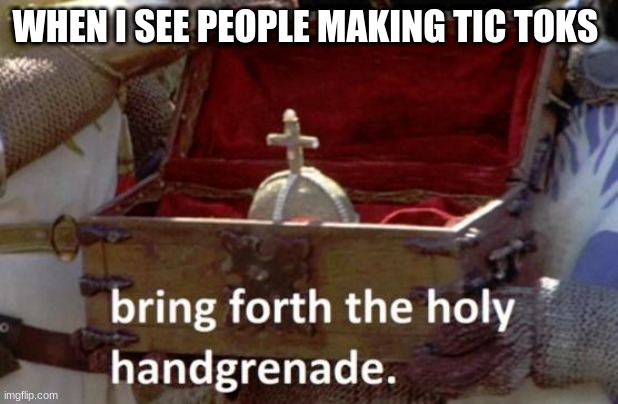 Bring forth the holy hand grenade | WHEN I SEE PEOPLE MAKING TIC TOKS | image tagged in bring forth the holy hand grenade | made w/ Imgflip meme maker