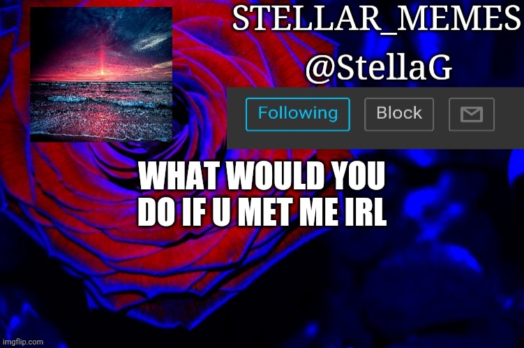 WHAT WOULD YOU DO IF U MET ME IRL | made w/ Imgflip meme maker