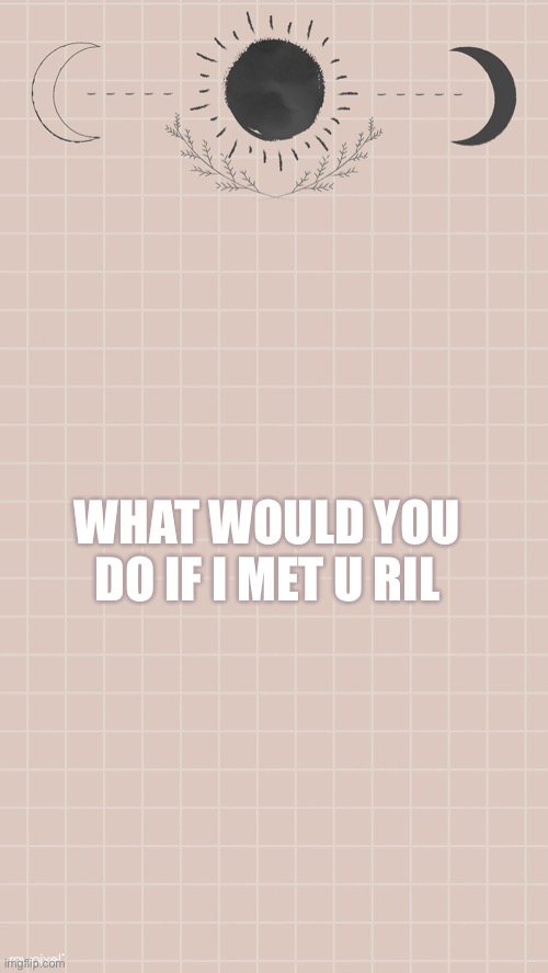 WHAT WOULD YOU DO IF I MET U IRL | made w/ Imgflip meme maker