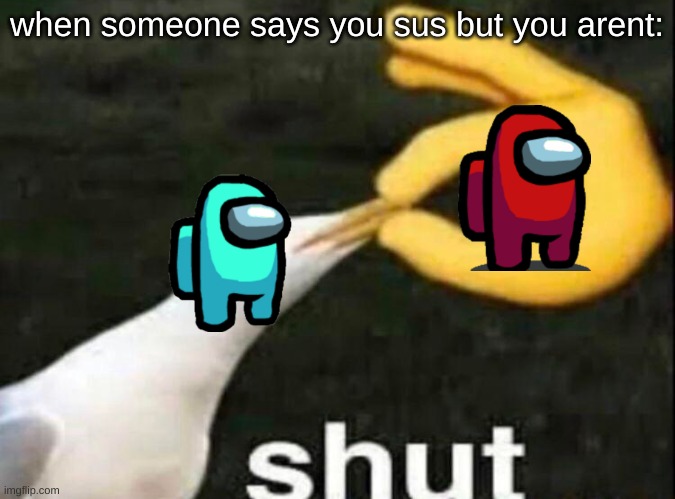 sus boi | when someone says you sus but you arent: | image tagged in shut | made w/ Imgflip meme maker