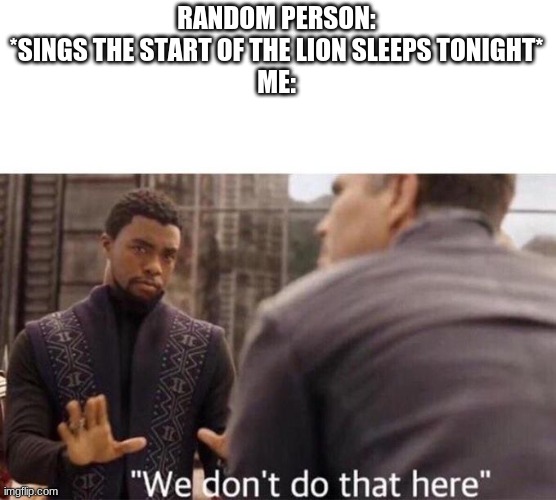 We dont do that here | RANDOM PERSON: *SINGS THE START OF THE LION SLEEPS TONIGHT*
ME: | image tagged in we dont do that here | made w/ Imgflip meme maker