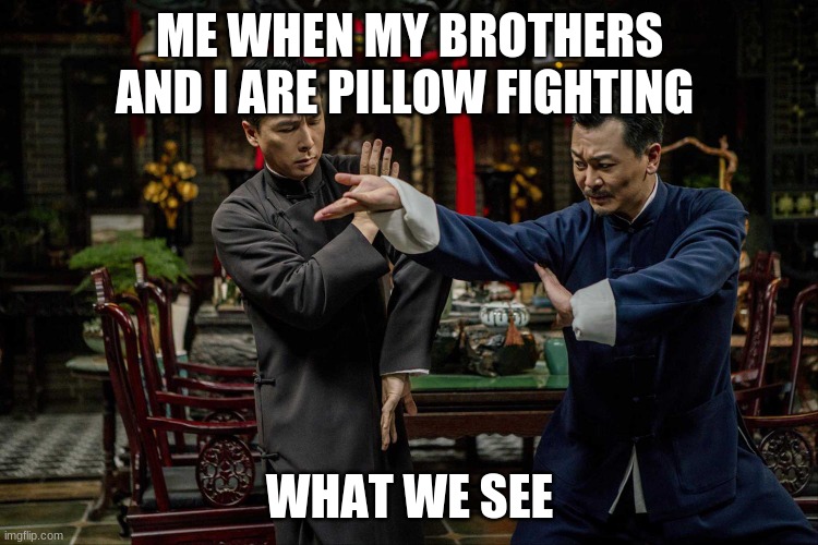 Ip man | ME WHEN MY BROTHERS AND I ARE PILLOW FIGHTING; WHAT WE SEE | image tagged in ip man | made w/ Imgflip meme maker