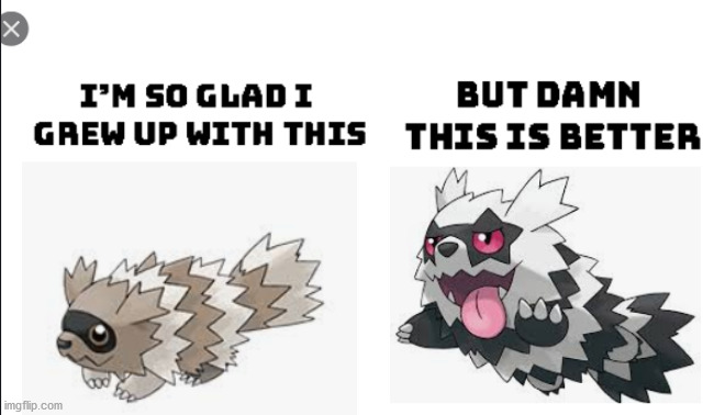 Zigzagoon | image tagged in pokemon | made w/ Imgflip meme maker