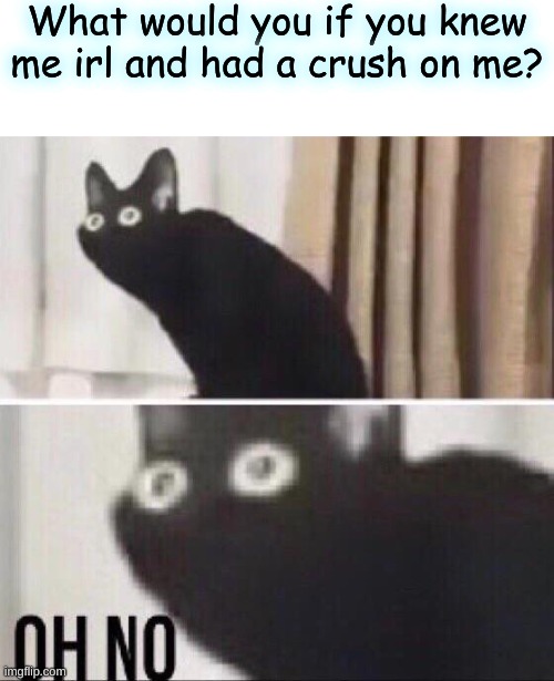 Oh no cat | What would you if you knew me irl and had a crush on me? | image tagged in oh no cat | made w/ Imgflip meme maker