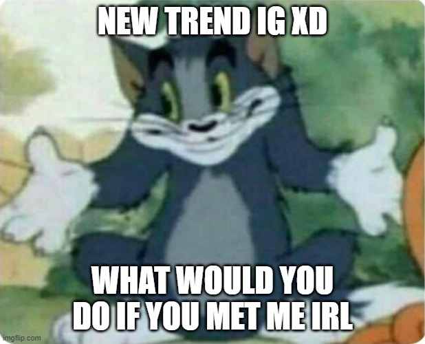 idk lol | NEW TREND IG XD; WHAT WOULD YOU DO IF YOU MET ME IRL | image tagged in tom shrugging | made w/ Imgflip meme maker