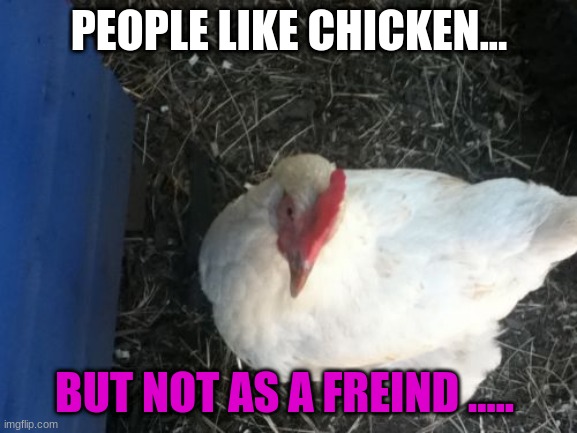 Angry Chicken Boss Meme | PEOPLE LIKE CHICKEN... BUT NOT AS A FREIND ..... | image tagged in memes,angry chicken boss | made w/ Imgflip meme maker