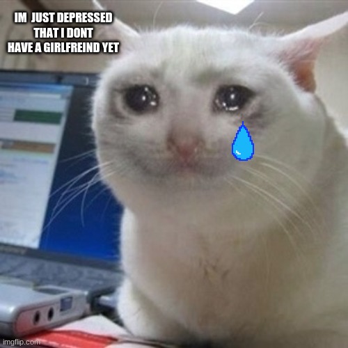 depressing | IM  JUST DEPRESSED THAT I DONT HAVE A GIRLFREIND YET | image tagged in crying cat | made w/ Imgflip meme maker