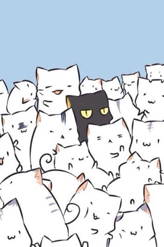 Cats Blank Meme Template