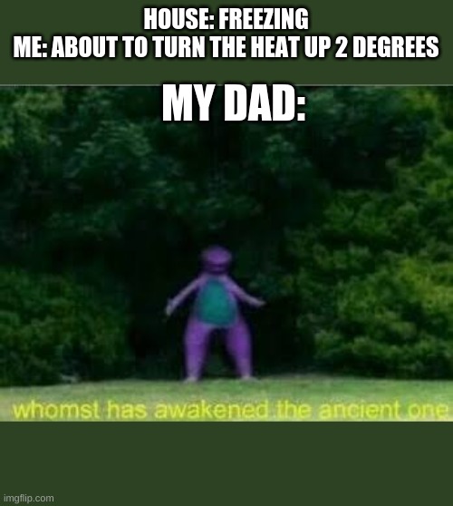 i was cold tho | HOUSE: FREEZING
ME: ABOUT TO TURN THE HEAT UP 2 DEGREES; MY DAD: | image tagged in whomst has awakened the ancient one,dad | made w/ Imgflip meme maker