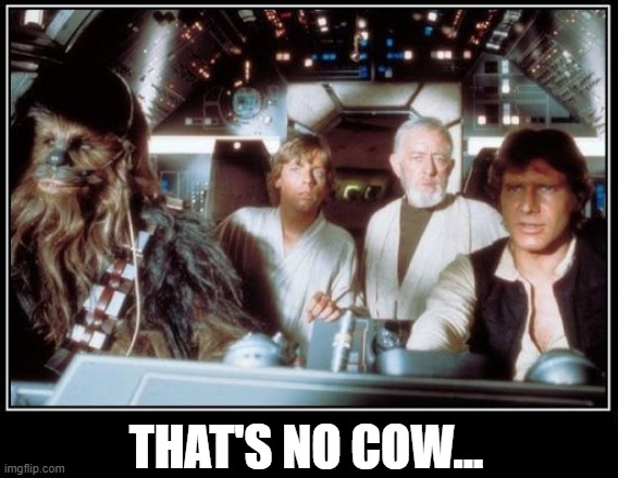 That's no cow | THAT'S NO COW... | image tagged in star wars | made w/ Imgflip meme maker