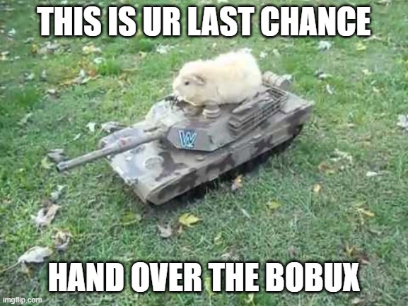 Guinea pig tank | THIS IS UR LAST CHANCE HAND OVER THE BOBUX | image tagged in guinea pig tank | made w/ Imgflip meme maker