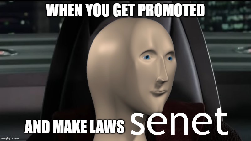 Senet | WHEN YOU GET PROMOTED; AND MAKE LAWS | image tagged in senet | made w/ Imgflip meme maker