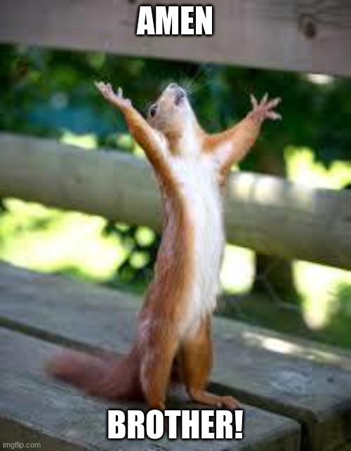 Praise Squirrel | AMEN BROTHER! | image tagged in praise squirrel | made w/ Imgflip meme maker