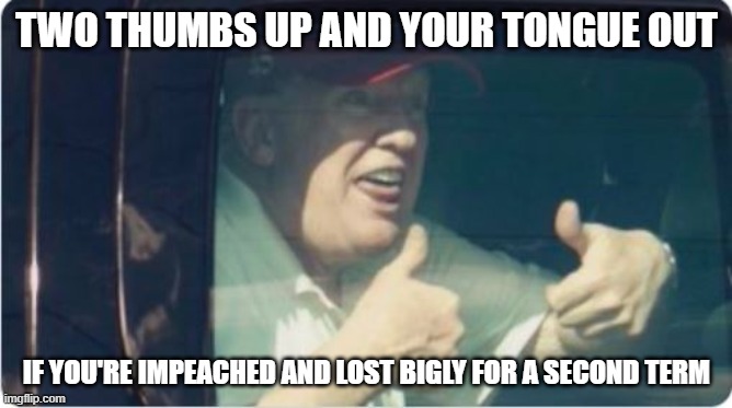 Trump Derp | TWO THUMBS UP AND YOUR TONGUE OUT; IF YOU'RE IMPEACHED AND LOST BIGLY FOR A SECOND TERM | image tagged in trump derp | made w/ Imgflip meme maker