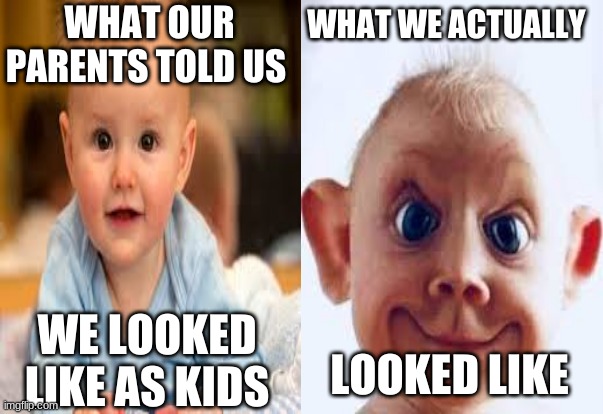 Baby meme | WHAT OUR PARENTS TOLD US; WHAT WE ACTUALLY; LOOKED LIKE; WE LOOKED LIKE AS KIDS | image tagged in funny,cute,ugly,baby,haha | made w/ Imgflip meme maker