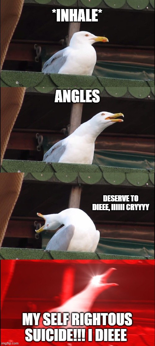 Inhaling Seagull | *INHALE*; ANGLES; DESERVE TO DIEEE, IIIIII CRYYYY; MY SELF RIGHTOUS SUICIDE!!! I DIEEE | image tagged in memes,inhaling seagull | made w/ Imgflip meme maker