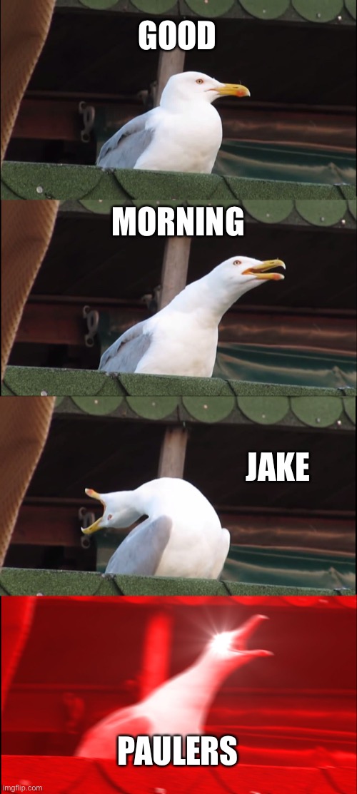 Good Morning! | GOOD; MORNING; JAKE; PAULERS | image tagged in memes,inhaling seagull,good morning jake paulers,jake paul | made w/ Imgflip meme maker