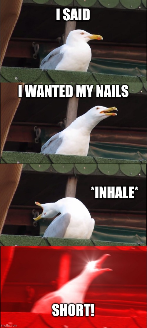 . | I SAID; I WANTED MY NAILS; *INHALE*; SHORT! | image tagged in memes,inhaling seagull,i want my nails shorrrt | made w/ Imgflip meme maker