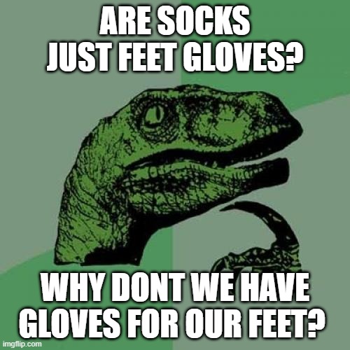 Philosoraptor | ARE SOCKS JUST FEET GLOVES? WHY DONT WE HAVE GLOVES FOR OUR FEET? | image tagged in memes,philosoraptor | made w/ Imgflip meme maker