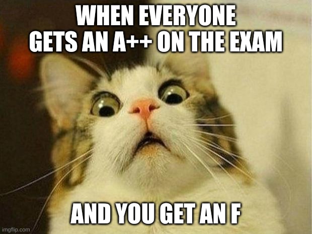Scared Cat Meme | WHEN EVERYONE GETS AN A++ ON THE EXAM; AND YOU GET AN F | image tagged in memes,scared cat | made w/ Imgflip meme maker