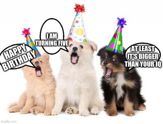 happy birthday puppies |  I AM TURNING FIVE; AT LEAST IT'S BIGGER THAN YOUR IQ; HAPPY BIRTHDAY | image tagged in happy birthday puppies | made w/ Imgflip meme maker