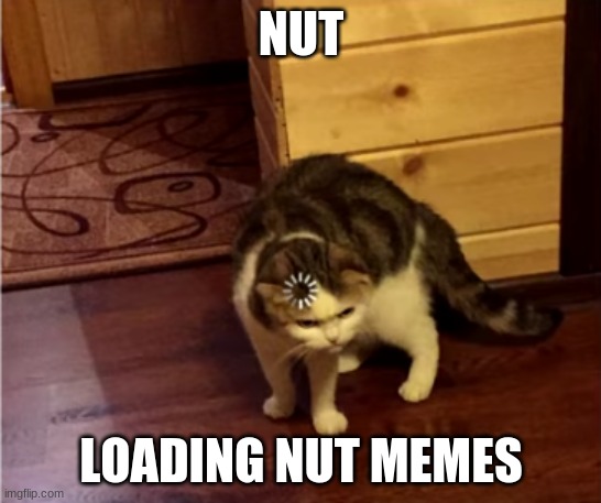 Loading Cat HD | NUT; LOADING NUT MEMES | image tagged in loading cat hd | made w/ Imgflip meme maker