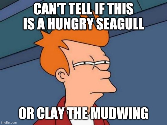 Futurama Fry Meme | CAN'T TELL IF THIS IS A HUNGRY SEAGULL OR CLAY THE MUDWING | image tagged in memes,futurama fry | made w/ Imgflip meme maker