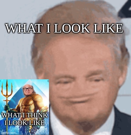 trump | WHAT I LOOK LIKE; WHAT I THINK I LOOK LIKE | image tagged in trump no nose | made w/ Imgflip meme maker