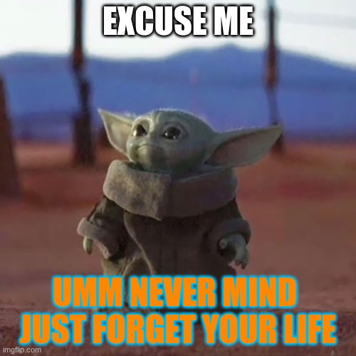Baby Yoda | EXCUSE ME; UMM NEVER MIND  JUST FORGET YOUR LIFE | image tagged in baby yoda | made w/ Imgflip meme maker