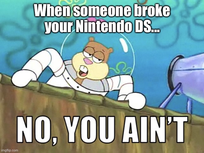 No, you ain’t | When someone broke your Nintendo DS... | image tagged in no you ain t | made w/ Imgflip meme maker