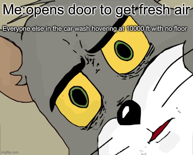 Why | Me:opens door to get fresh air; Everyone else in the car wash hovering at 10000 ft with no floor | image tagged in memes,unsettled tom | made w/ Imgflip meme maker